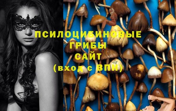 соль ск Алексеевка