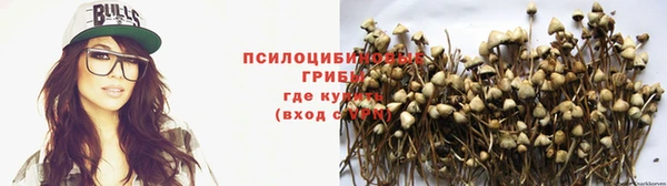 ECSTASY Алзамай