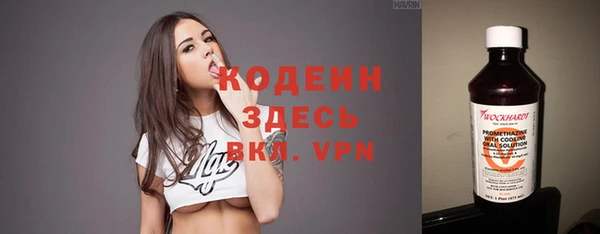 ECSTASY Алзамай