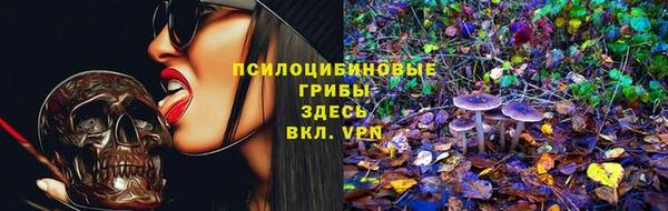 ECSTASY Алзамай