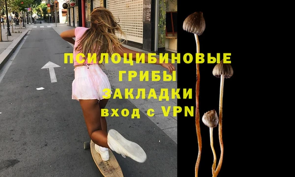 соль ск Алексеевка